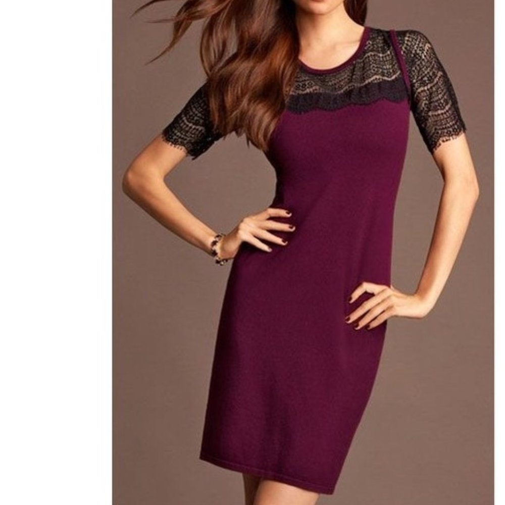 NWT Ann Taylor sweater dress with lace